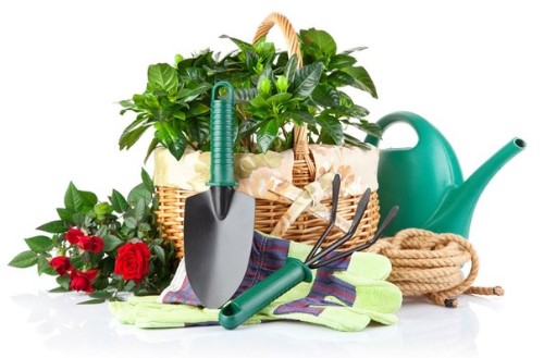 Những dụng cụ cần thiết khi làm vườn
