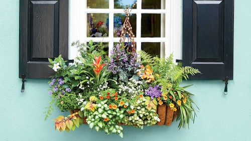 Cách tạo hộp hoa treo trang trí cửa sổ đầy hương thơm màu sắc