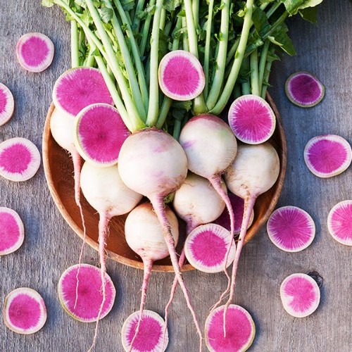 Bí kíp trồng củ cải mini “trắng vỏ đỏ lòng” giàu chất dinh dưỡng