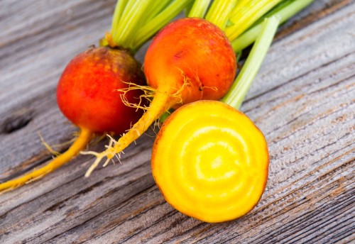 Mách bạn cách trồng củ cải vàng đơn giản tại nhà thay đổi khẩu vị