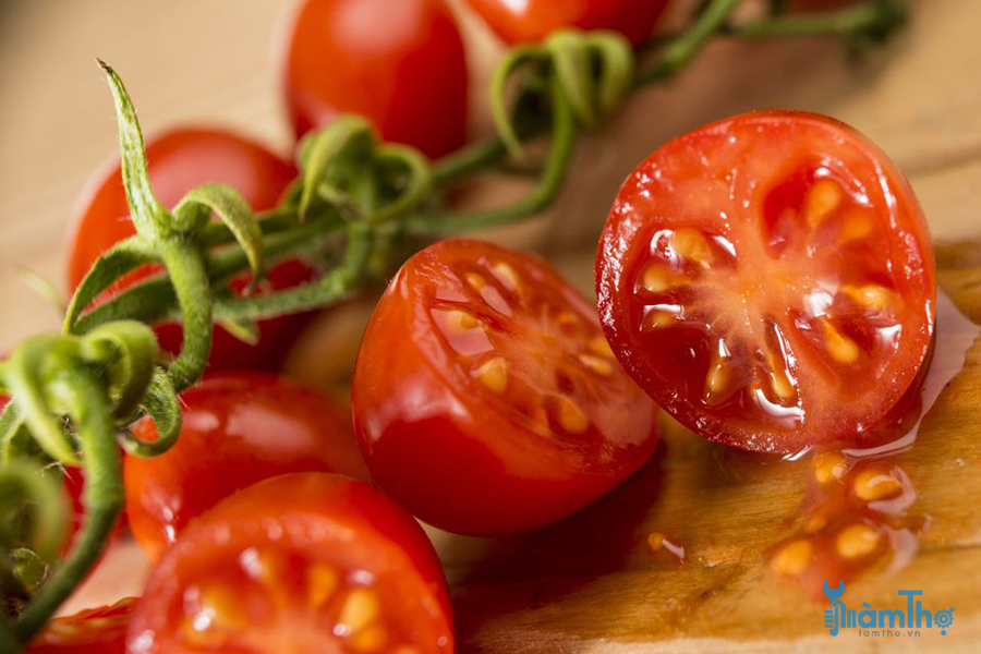 Cách lưu trữ hạt giống cà chua để phát triển trong năm tới