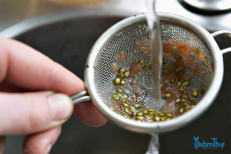 Đổ hạt vào một cái rây và rửa kỹ bằng nước để loại bỏ nấm mốc