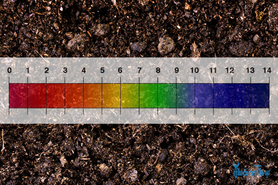 Nghiên cứu độ pH của đất, cách khử chua cho đất