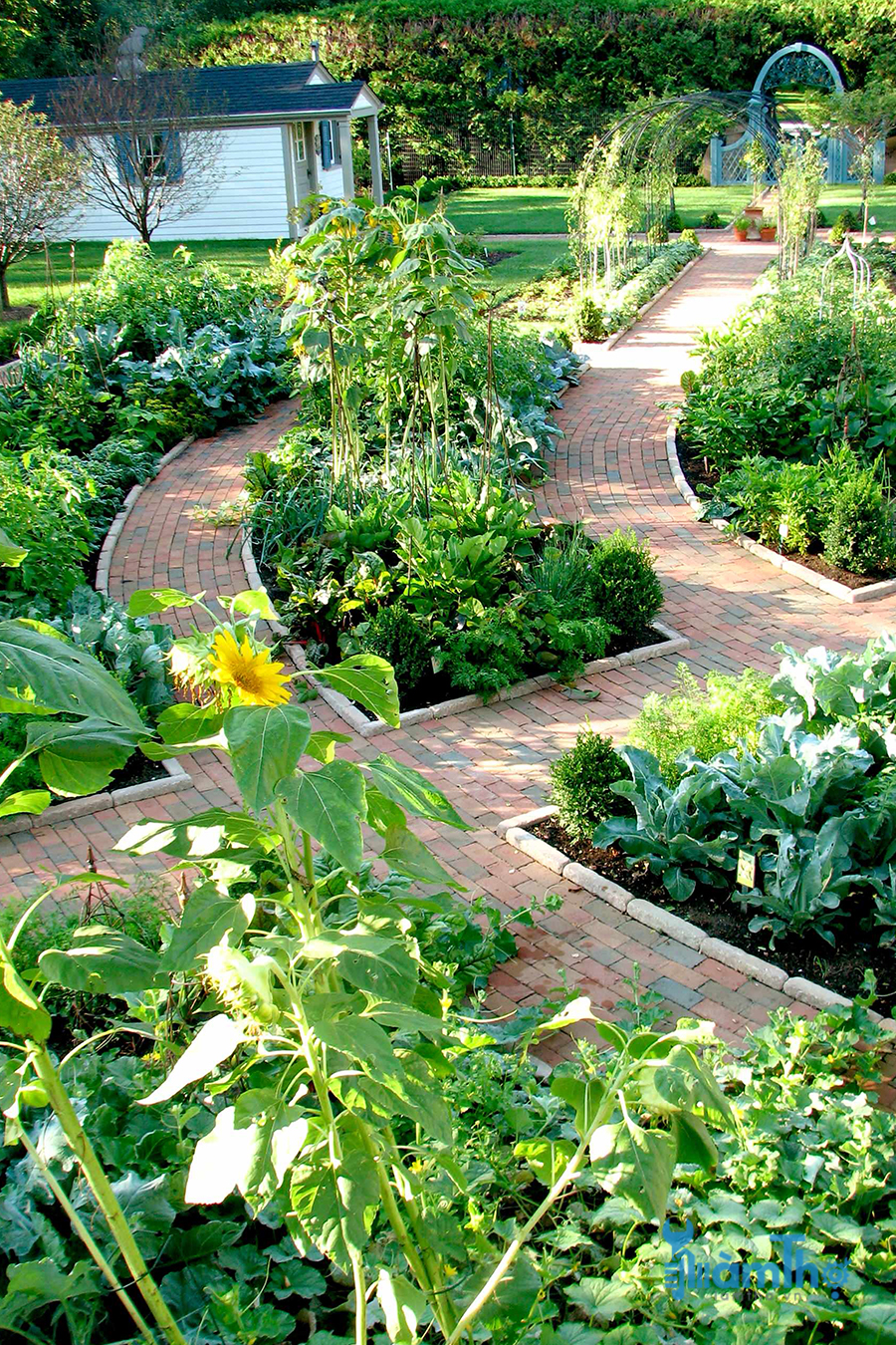 Gợi ý cách thiết kế vườn rau đem lại hiệu quả tốt nhất