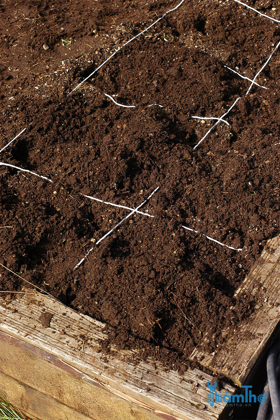 Hỗn hợp đá vermiculite, rêu than bùn và phân trộn để trồng
