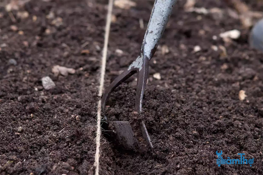 Dùng mép cuốc xới đất phủ lên hạt đến độ sâu 1cm