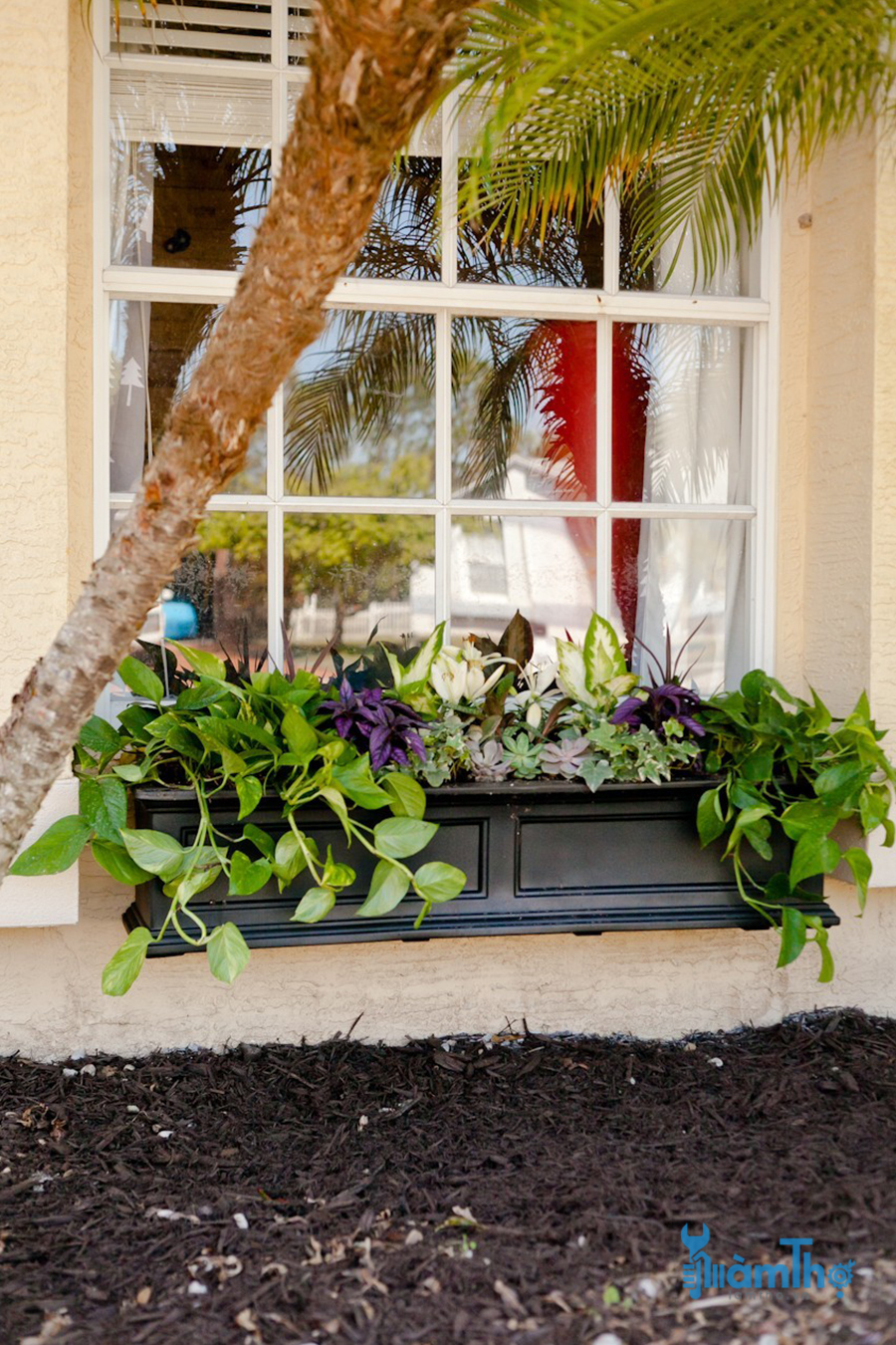 5 Mẹo để tạo ra hộp trồng cây cửa sổ hoàn hảo