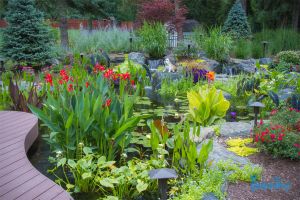 7 bí kíp để tạo ra khu vườn ao nước tuyệt đẹp
