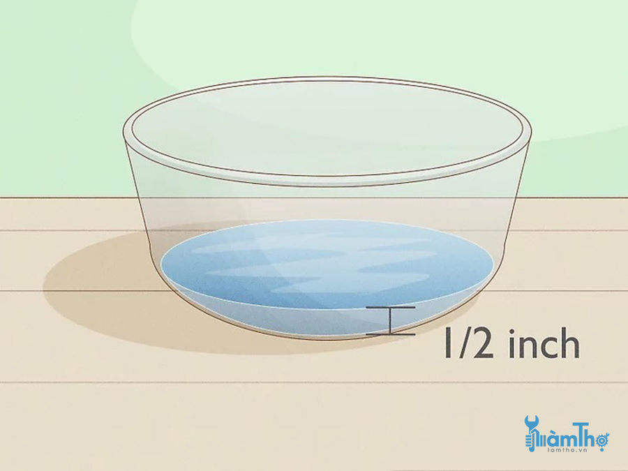 Lấy một khay chứa và đổ đầy nước vào khay đó 1 5cm nước