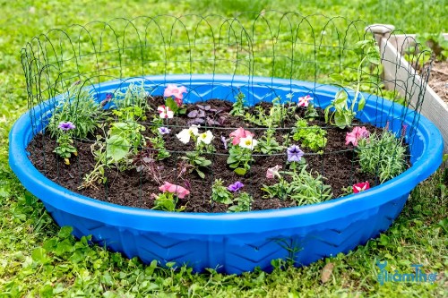 Cách làm vườn trồng cây từ một bể bơi trẻ em bằng nhựa