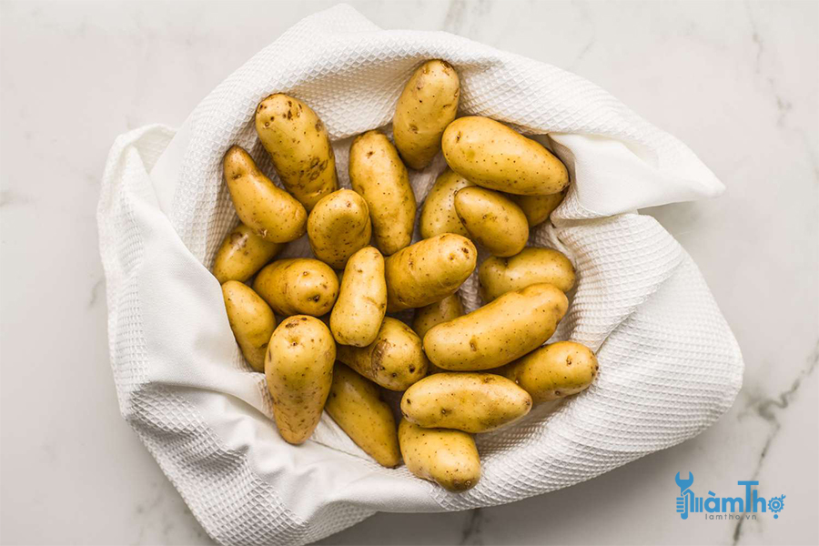 Tự thu hoạch khoai tây trong 9 bước trồng đơn giản