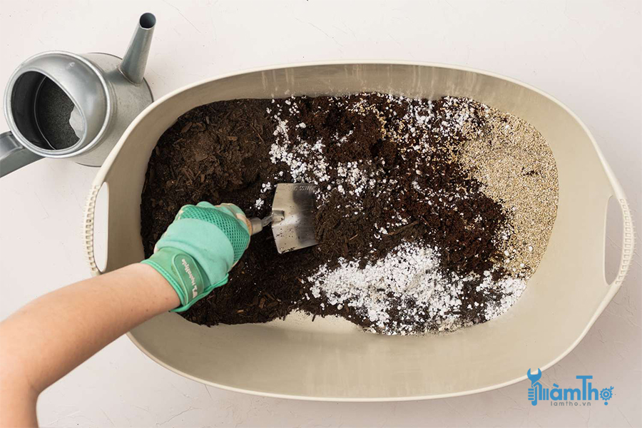 Cách tạo hỗn hợp đất ươm hạt giống của riêng bạn