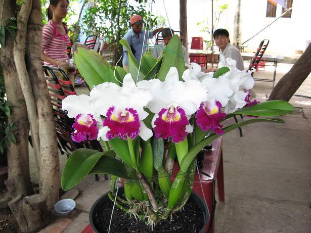 Hình ảnh có liên quan