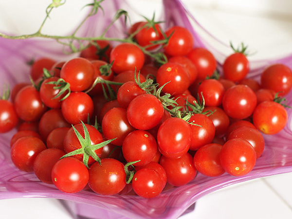 Cách trồng cây cà chua bi tại nhà