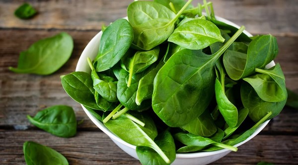 Cách trồng rau chân vịt