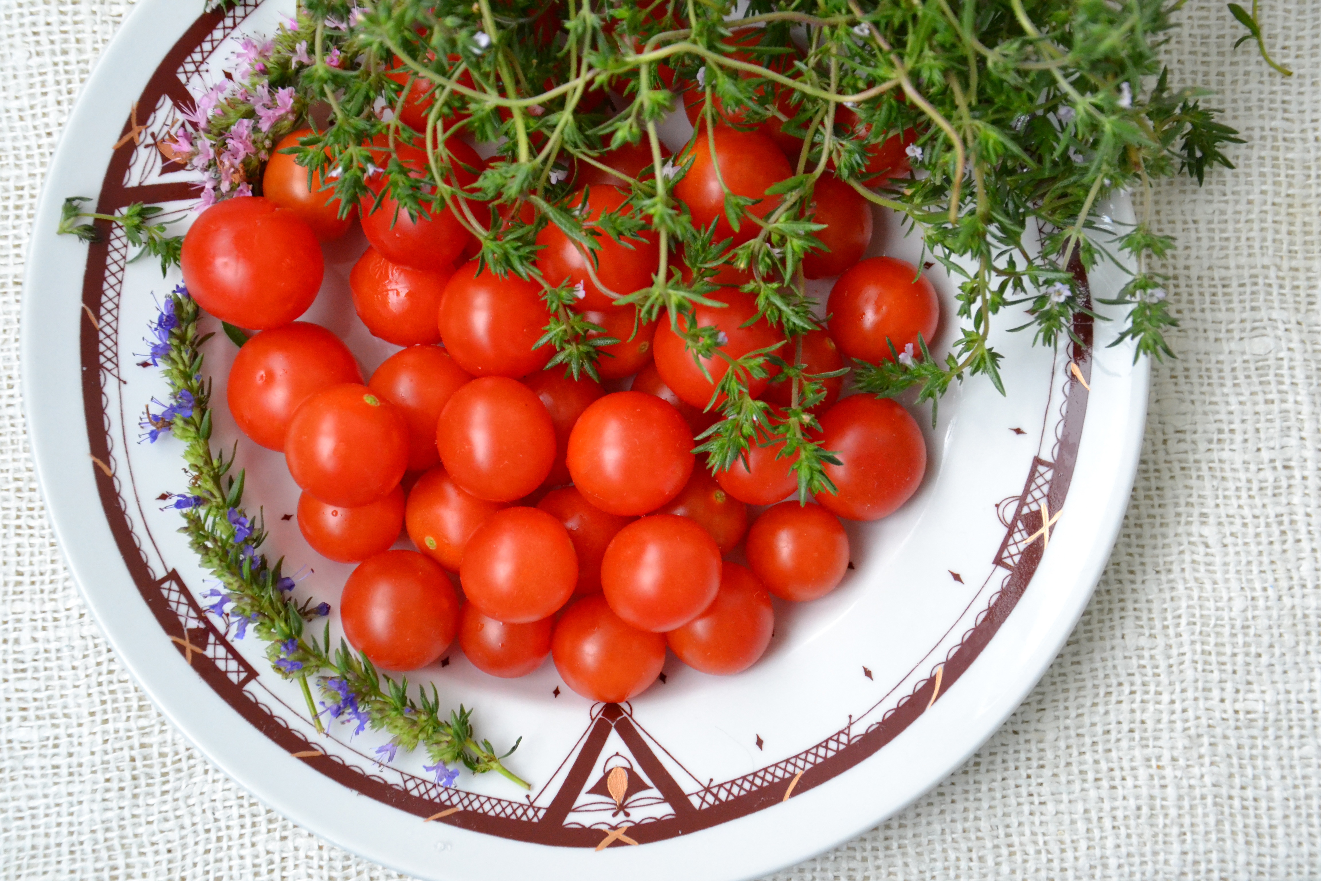 10 loại rau củ quả tí hon cực dễ trồng