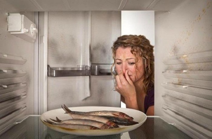 6 dấu hiệu tủ lạnh bị xuống cấp cần bảo dưỡng ngay