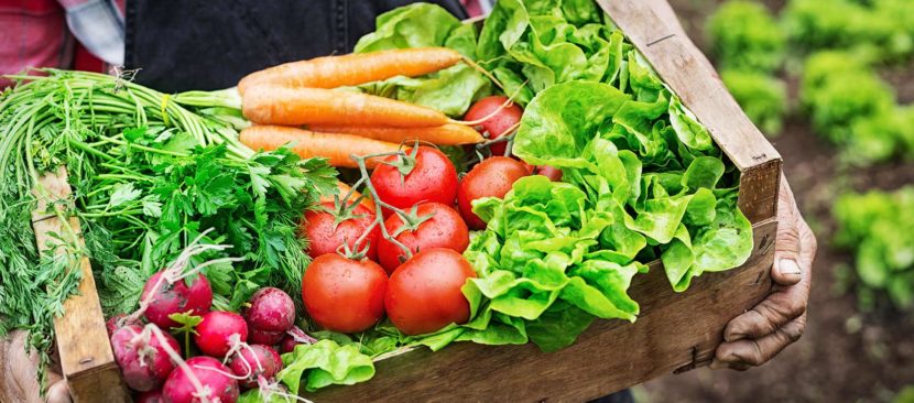 Bật mí cách phân biệt rau sạch và rau hữu cơ