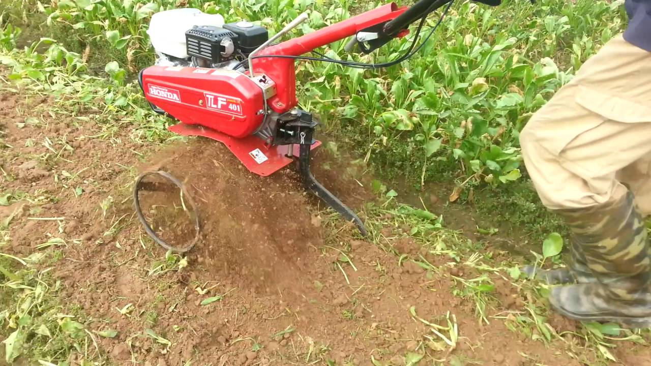Cách bảo dưỡng máy xới đất