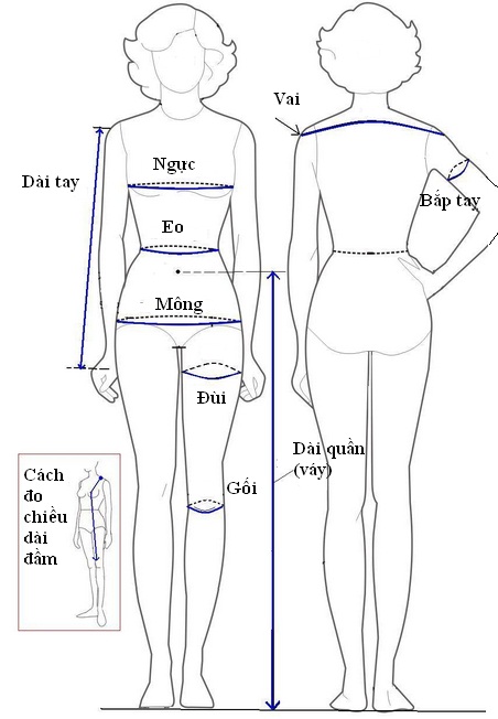 Cách đo kích thước cơ thể người