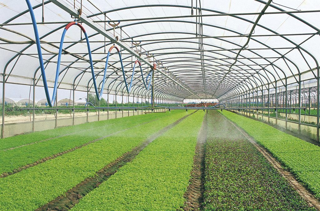 Giải pháp tưới tự động cung cấp độ ẩm cần thiết cho cây trồng nhà kính