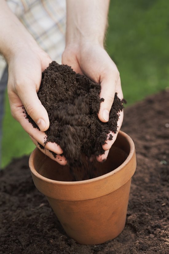 Để cây nha đam phát triển tốt cần có đất thoát nước tốt.  Ủ tạo điều kiện cho bộ rễ phát triển tốt nhất. 